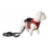 Поводок-шлейка для собак Comfy Control Harness