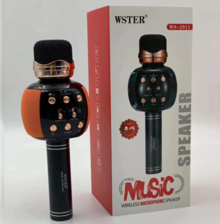 Беспроводной микрофон для караоке с динамиком Wster WS-2911